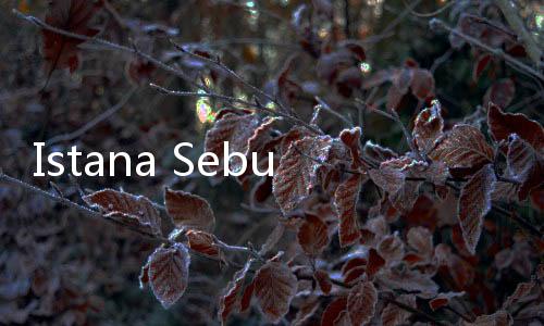 Istana Sebut Belum Ada Rencana Reshuffle Kabinet Sampai Saat Ini