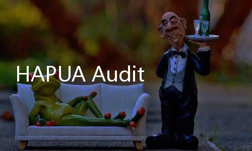 HAPUA Audit Summit 2024: PLN Perkuat Audit Internal untuk Akselerasi Transisi Energi